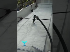 Flexitank Fiyat 20000l Flexitank Kamyon Petrol Konteyneri Lateks Flexitank ambalaj malzemesi